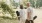 a man and woman walking with yoga mats