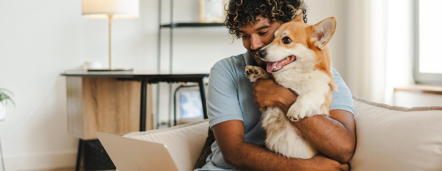 a person and a dog on a couch with a laptop